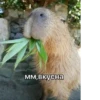 Больше стикеров: 14
