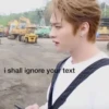 Meme straykids 13
