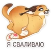СеймYрр 14