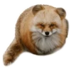 Round Animals by 14