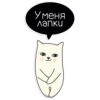 У меня лапки