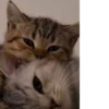 💕 Стики тYт: 18