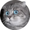 Meow — 16