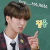 Meme straykids 17