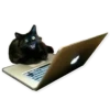 Favorite Sticker by 20