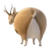 Round Animals by 17