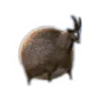 Round Animals by 18