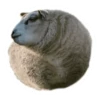 Round Animals by 22