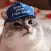 Meow — 21