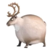 Round Animals by 23