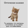 |Bobr вор| (Created By: ) 21