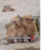 Больше стикеров: 22