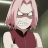Sakura - 29