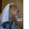 Больше стикеров: 25