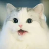 Derpy Animals — 27