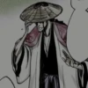 Shunsui Kyōraku 26