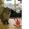 Больше стикеров: 28