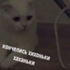 debosh_cats 6