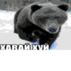 SIRLTYGISJ_by_stikerykkk_bot 6