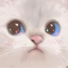HApFBkK_by_achestickbot 6