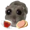 Hamster | More stickers here > 9