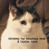 HeulXFjYtpem_by_stickers_stealer_bot 11