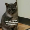 debosh_cats 10