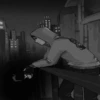 Cry of fear │ 18