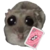 Hamster | More stickers here > 14