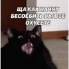 debosh_cats 12