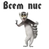 King Julian 7