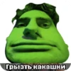 Капач @skripach_green | 12
