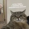 debosh_cats 14