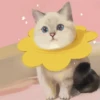HApFBkK_by_achestickbot 12