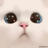 HApFBkK_by_achestickbot 13