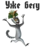 King Julian 8