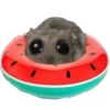 Hamster | More stickers here > 19