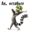 King Julian 11