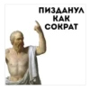 Ptichka 15