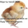 HeulXFjYtpem_by_stickers_stealer_bot 23