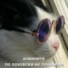 Cats_e25 15
