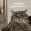 Cats_e25 16