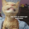 Cats_e25 17