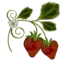 / FOOD 22