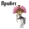 King Julian 15