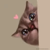 HApFBkK_by_achestickbot 19