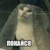 debosh_cats 22