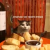 Cats_e25 21