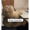 debosh_cats 25