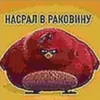 SIRLTYGISJ_by_stikerykkk_bot 24